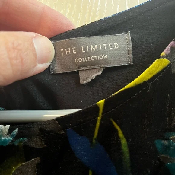 The Limited Floral Velvet Blouse Women’s Ruffle Bell Sleeves Back Tie Large - Picture 6 of 10